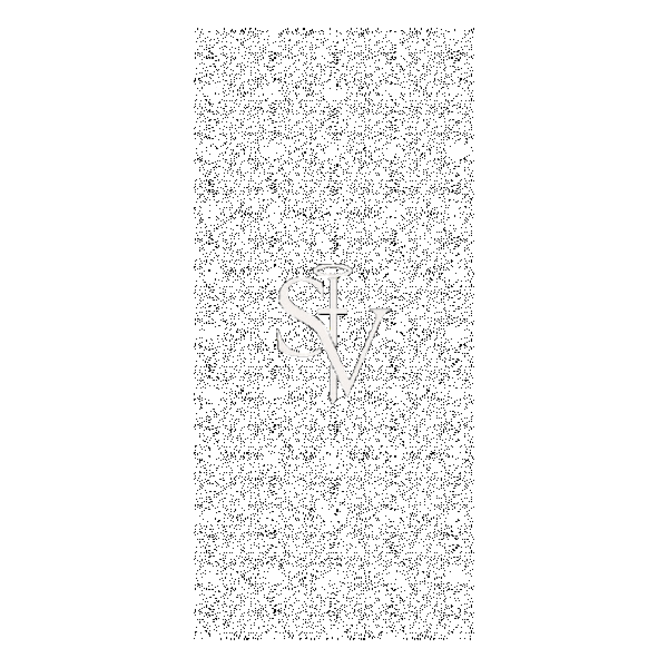 Saint Void Official